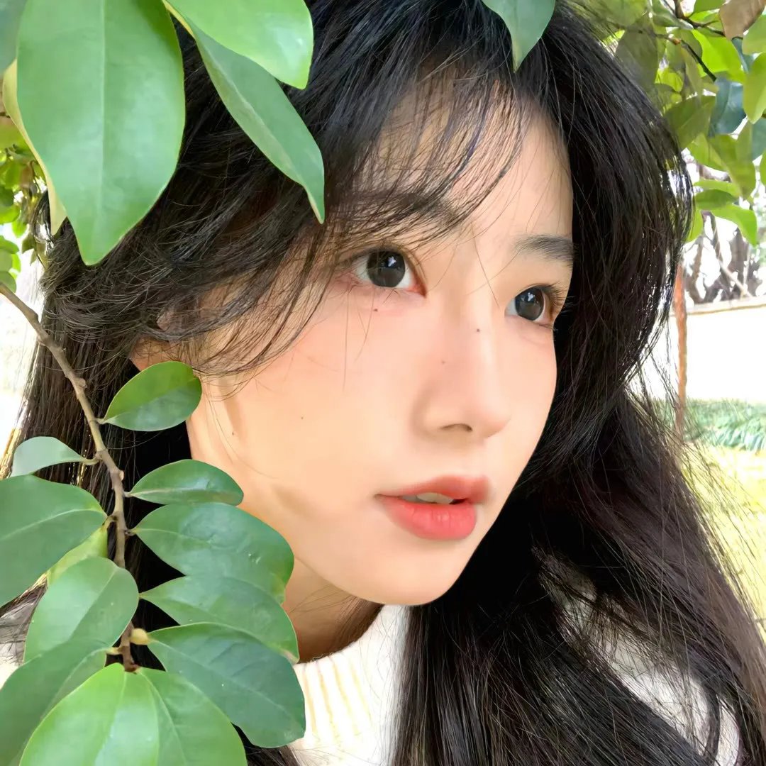 编辑情人梦